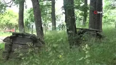 Tokat'ta 2 asırlık ahşap mezarlar yok olma tehlikesiyle karşı karşıya