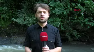 Fatsa'da sel nedeniyle dereye düşen kadın için arama çalışmaları devam ediyor
