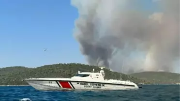 Muğla'da çıkan yangın 4 saatte kontrol altına alındı