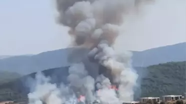 Muğla'nın Milas ilçesinde orman yangını çıktı