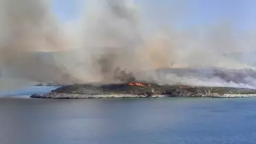 İzmir Urla'da çıkan yangına havadan ve karadan müdahale başlatıldı