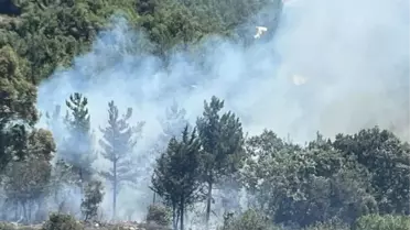 Osmaniye'de Gaffarlı köyünde orman yangını çıktı