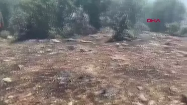 Musabeyli'de çıkan yangın havadan ve karadan müdahaleyle söndürüldü