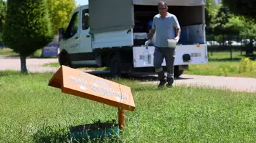 Antalya'da Sokak Hayvanları İçin 'Bir Kap Su ve Mama' Çağrısı