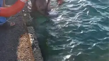 Sarıyer'de Serinlemek İçin Denize Giren Kişi Boğulma Tehlikesi Geçirdi