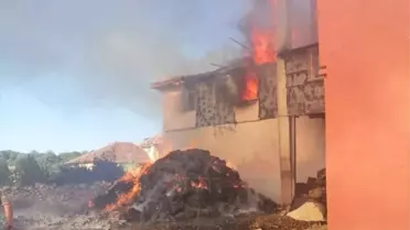 Uşak'ta saman balyalarından başlayan yangın müstakil eve sıçradı
