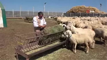 Hobi amaçlı biriktirdiği tongurdakların koleksiyonunu yapıyor