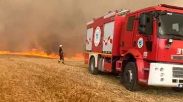 Tekirdağ'ın Hayrabolu ilçesinde çıkan yangında 40 dönüm ekili buğday kül oldu
