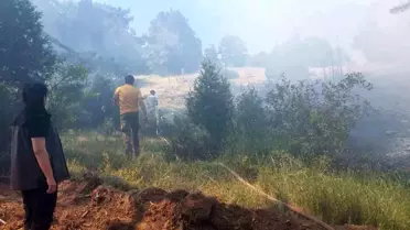 Kütahya'da çıkan orman yangını kontrol altına alındı