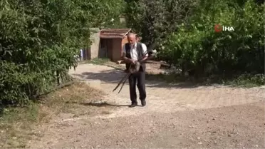 Kurumuş ağaç dallarını ve köklerini sanat eserine dönüştürüyor