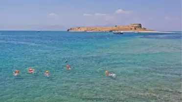 Van Denizi Yüzme Festivali'nde Yüzücüler Çarpanak Adası'ndan Kıyıya Kulaç Attı