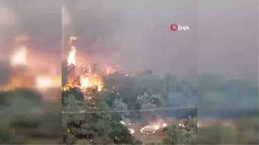 Yunanistan'da orman yangınları devam ediyor