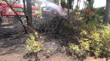 Antalya'da çıkan orman yangını kısa sürede söndürüldü