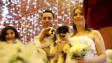 Mersin'de Köpekleriyle Evlenen Türk Damat ve Rus Gelin