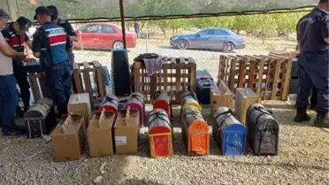 Niğde'de Horoz Dövüşü Yapan 71 Kişi Gözaltına Alındı