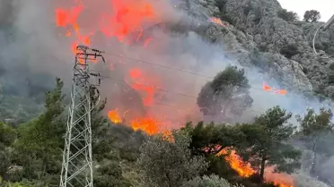 Muğla Seydikemer'de Orman Yangını Söndürme Çalışmaları Devam Ediyor