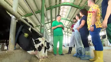 Veterinerlik öğrencilerine çiftlikte uygulamalı eğitim