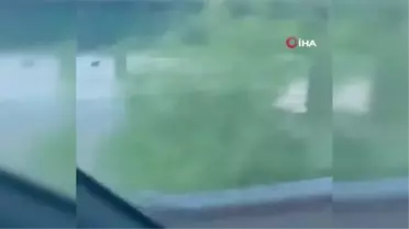 Kanada'da şiddetli yağışlar sonucu sel: 4 kişi kayıp