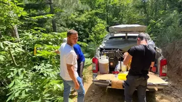 Kastamonu'da Kestane Ağaçlarına Zarar Veren Gal Arısıyla Mücadele Devam Ediyor