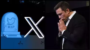 Twitter'ın yeni logosu sorunlara yol açabilir