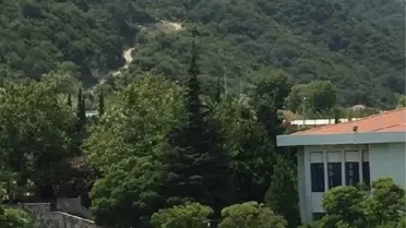 Yalova Çınarcık'ta Orman Yangını Kontrol Altına Alındı