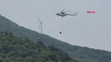 Yalova Çınarcık'ta çıkan orman yangını kontrol altına alındı
