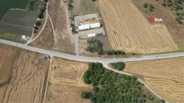 Sındırgı'da kışlık yem hasadı gerçekleştirildi