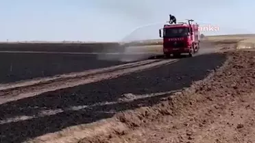 Yozgat'ta çıkan yangında 200 dönüm buğday ekili alan yandı