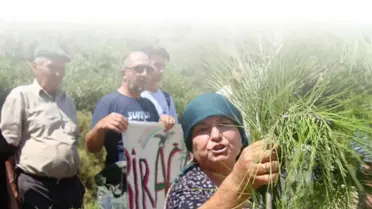 Emek ve demokrasi örgütleri Akbelen Ormanlarındaki ağaç kesimine tepki gösterdi