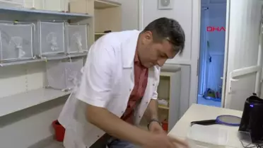 Rize'de Asya Kaplan Sivrisineği ile Mücadele Başlatıldı