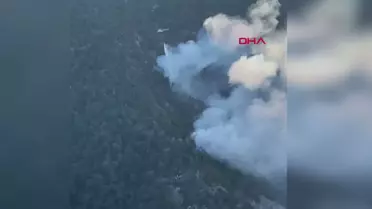 Bolu'daki orman yangınına havadan müdahale