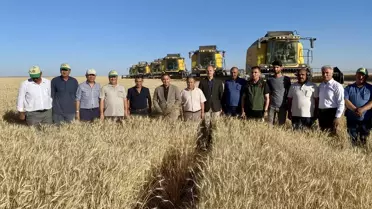 Kırşehir Valisi Hububat Tarlalarında İncelemelerde Bulundu