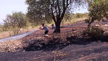 Siirt Tillo ilçesinde fıstık bahçesinde yangın çıktı
