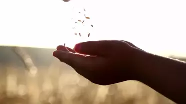 Tarım ve Kırsal Kalkınmayı Destekleme Kurumu, tasarruf açıklamalarına rağmen araç kiralama ihalesine çıktı