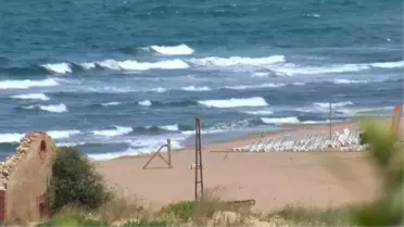 Şile Sofular Köyü'nde Denizde Top Mermisi Bulundu