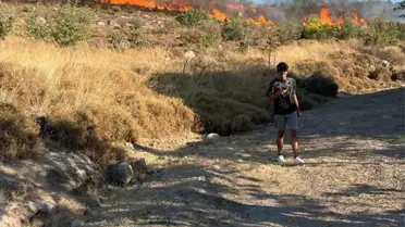 Muğla Bodrum'da çıkan yangın kontrol altına alındı