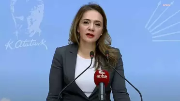 CHP Milletvekili Gamze Akkuş İlgezdi: Bireysel Silahlanmaya Son Vermeliyiz
