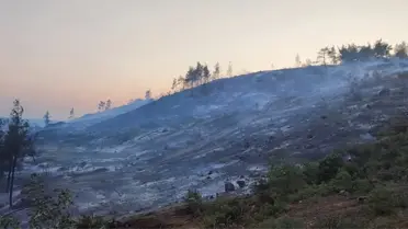Bilecik'te Orman Yangını Kontrol Altına Alındı