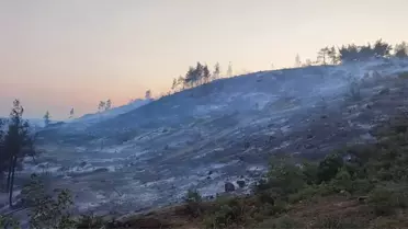 Bilecik'te Ormanlık Alanda Yangın Çıktı