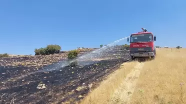 Tunceli'de çıkan örtü yangınları söndürüldü