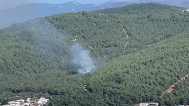 Bodrum'da Orman Yangını Kontrol Altına Alındı