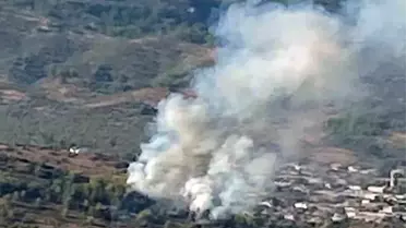 Muğla'da başlayan orman yangını 20 dakikada kontrol altına alındı