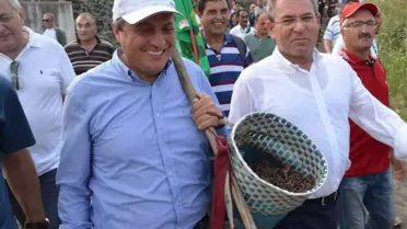 CHP'li Seyit Torun, Erdoğan'ın açıkladığı fındık fiyatlarına tepki gösterdi