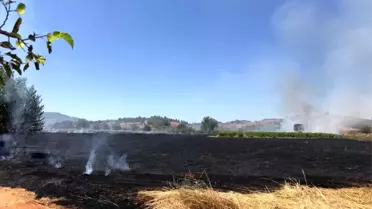 Denizli Çal'da Anız Yangını: 50 Dekar Alan Zarar Gördü