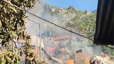Artvin'de çıkan yangında 5 ev ve 2 ahır kullanılamaz hale geldi