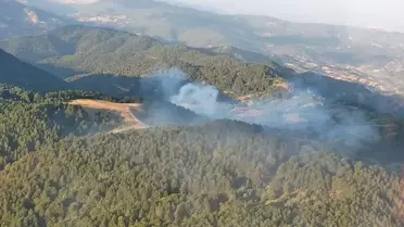 Balıkesir İvrindi'de çıkan orman yangını kontrol altına alındı