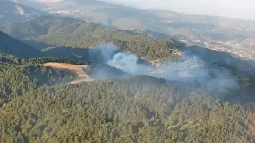 Balıkesir İvrindi'de Orman Yangınına Havadan ve Karadan Müdahale Ediliyor