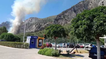 Muğla'nın Milas ilçesinde orman yangını çıktı