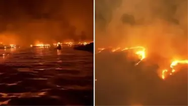 Hawaii'de çıkan yangında 6 kişi hayatını kaybetti