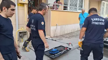 Samsun'da doğal gaz panosuna sıkışan yılan kurtarıldı